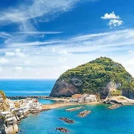 Apartman In Musica *